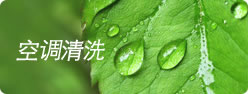 塑料防腐蝕振動篩廠家